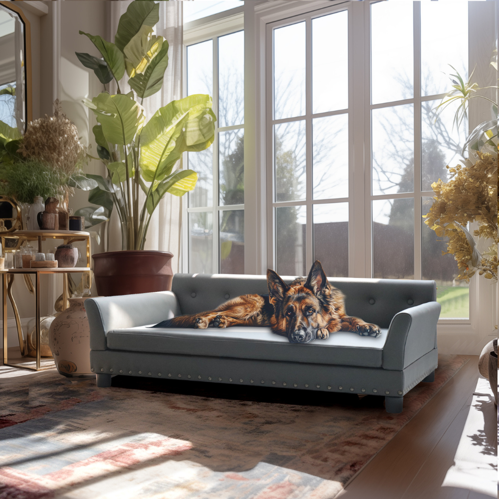 Luxurious Elevated Dog Bed Sofa with Microfiber Leather Cover_4