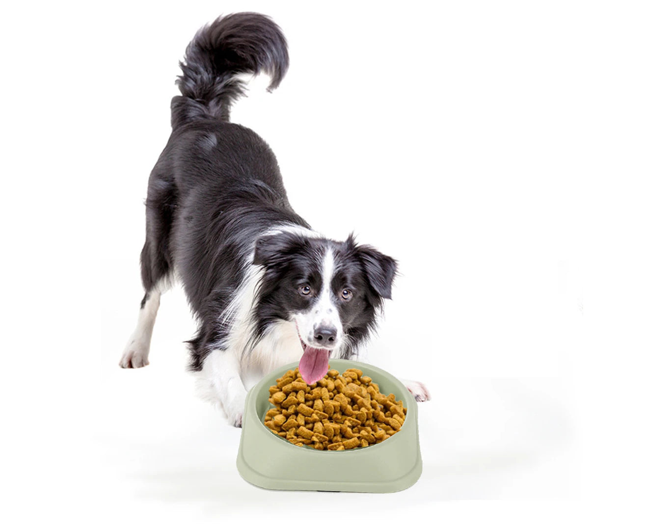 Pet Bowl Slow Food Bowl Feeder anti Choking Slow Food Bowl Color Practical Dog Bowl