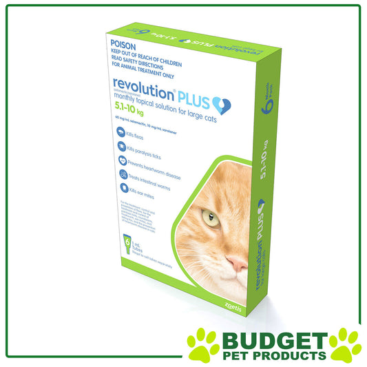 Revolution plus for Large Cats 5-10Kg 6 Pack